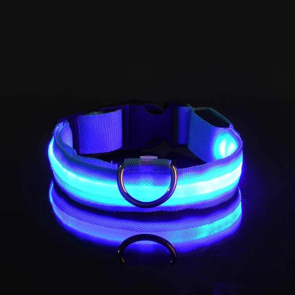 ✨“The Light-Up Dog Collar Every Pet Owner Needs for Night Walks”🐶