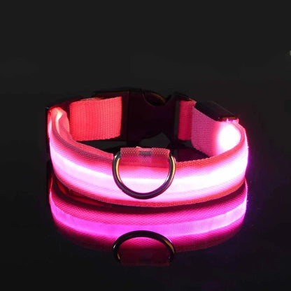 ✨“The Light-Up Dog Collar Every Pet Owner Needs for Night Walks”🐶