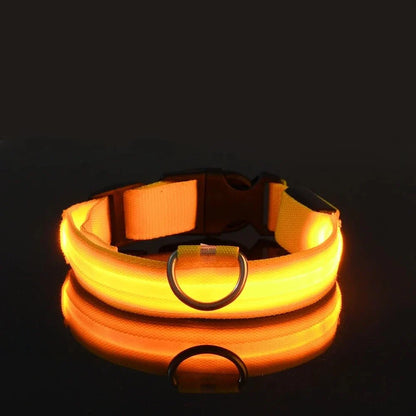 ✨“The Light-Up Dog Collar Every Pet Owner Needs for Night Walks”🐶